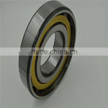 17 Years Experience Manufacturer, All Kinds of Cylindrical Roller Bearing 239/950 CA/W33