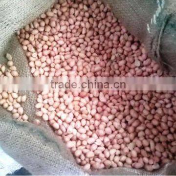 Indian Peanut Bulk Supplier