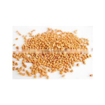 Fenugreek Seed Exporters photo-6