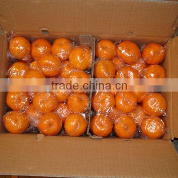 2013 Mandarin Orange-factory supplying with top quality