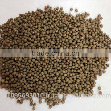 High Quality Split Green Mung Bean From Vietnam With Best Price for Sale photo-3