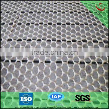 20 mesh Hexagonal hole type Plastic Net Meshing