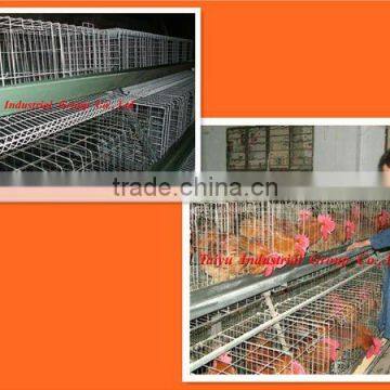 TAIYU-9 boiler/brooder chicken cage