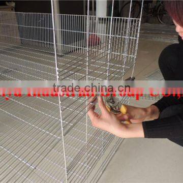 TAIYU Foreign Agent Quail Feeding Equipment