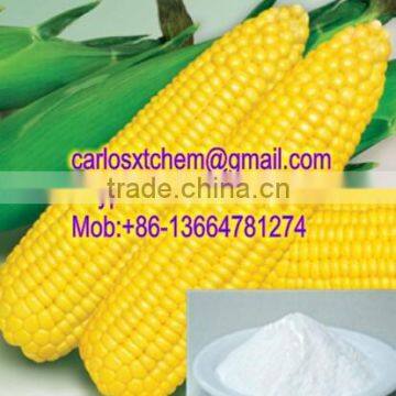 China supplier Corn Starch / Modified Corn Starch