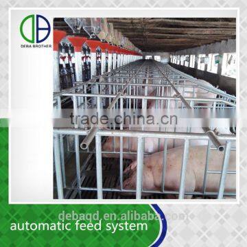 custome design Galvanized Adjustable Farrowing Pen For Pig Farm