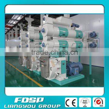 Fish Food Pellet Making Machine/Carp Feed Pellet Mill Machine Price