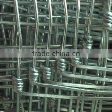 8 gauge wire fence/animal wire fence/china wire fence