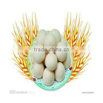 Hot Sale Stainless Steel Chinese Dough Divider Rounder Machine photo-3