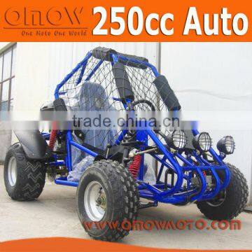 EPA 250cc Gokart Buggy