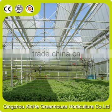 High Quality Galvanized Steel Structure Agricultural Greenhouse With Hydroponic