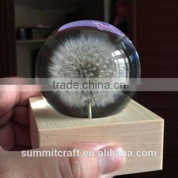 Custom Real Dandelion Paperweight Gift photo-3