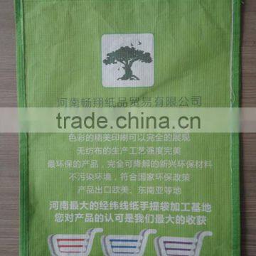 Biodegradable Customized Warp and Weft Kraft Paper Shopping Bag photo-4