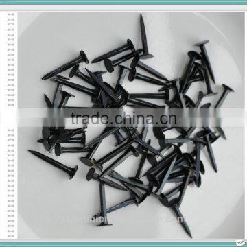 Blue Shoe Tack Nails photo-6