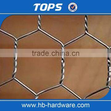 Hebei Factory Supply Fine Hexagonal Wire Netting/Gabion Slope Protection Netting/Cabion Wire Roll(Manufacturer) photo-3