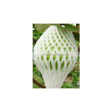 EPE Plastic Safe Biodegradable Fruit Foam Netting photo-4