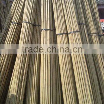 Good quality of bamboo fence