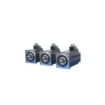 90/110 Serials Servo Motor