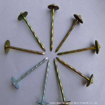 Corrugated Roofing Nails With Good Quality/Smooth Shank Galvanized Umbrella Roofing Nail
