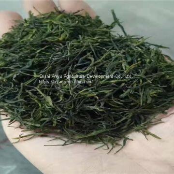 Hubei Enshi Se-rich Tea Produced and Sold by Oneself Fried Green Tea Commercial Gift Wholesale Enshi Yulu photo-3