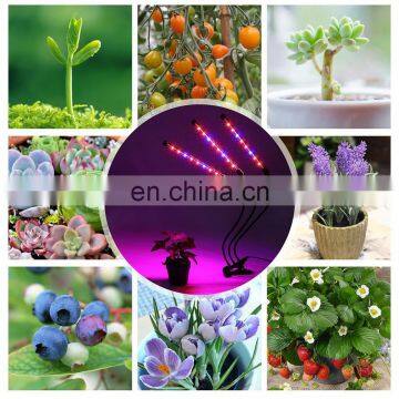 Full Spectrum Triple Head Gooseneck Clip-On Desk Led Plant Grow Lights for Indoor Plants photo-6