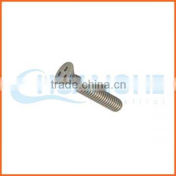 China supplier security screws (anti-theft screws)