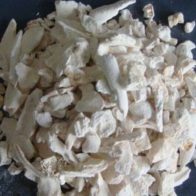 Manufacturer Sell Low Price Calcined Bone Ash or Powder