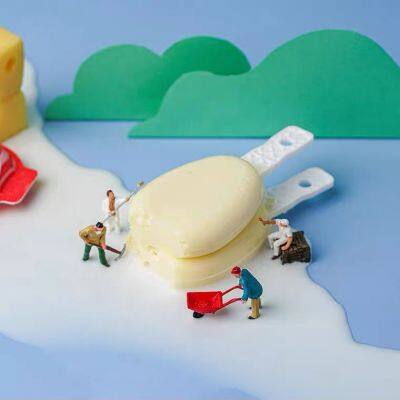 Fully Automatic Packaging Machine for Lollipop Cheese Filling of TOKKEPACK