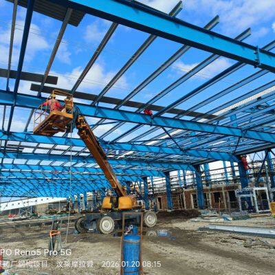 New Steel Structure Project Large Span Steel Structure Building Brickyard Workshop photo-2