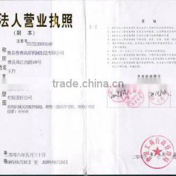 Business Licence Certificate