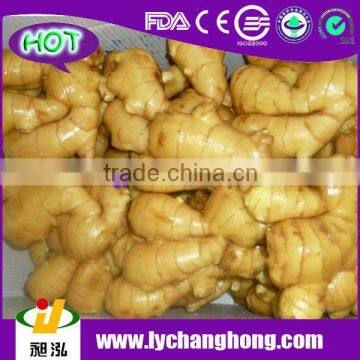 2014 High Quality New Crop Fresh Ginger For UK,CANADA,USA and EU Market                        
                                                Quality Choice