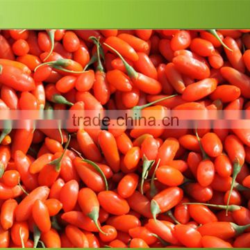 goji fruit from Chinese gojiberry origin