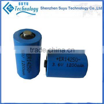 Rechargeable battery ER14250 3.6v 1200mAh car electric bike battery