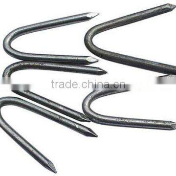 U staple