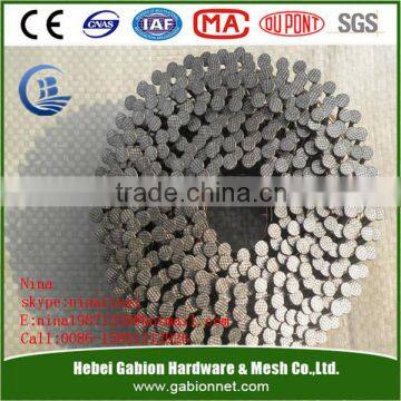 Galvanized coil nail from factory CHINA