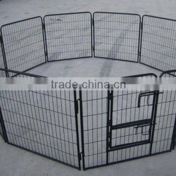 Hot Dipped Dog Kennels