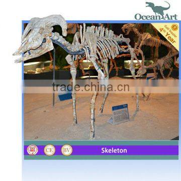 Artificial Animal Skeletons for History Museum--Hezhengia