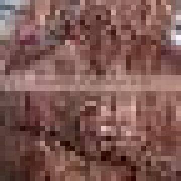 Copper Scrap !!!,A Grade Copper Scrap photo-3