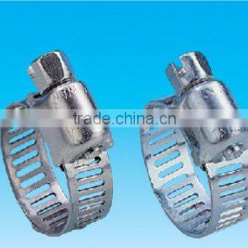 Hose clamp (auto parts)
