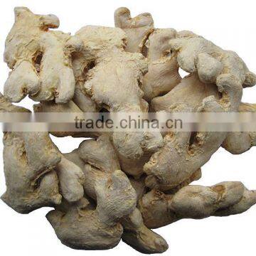 fresh and dried ginger