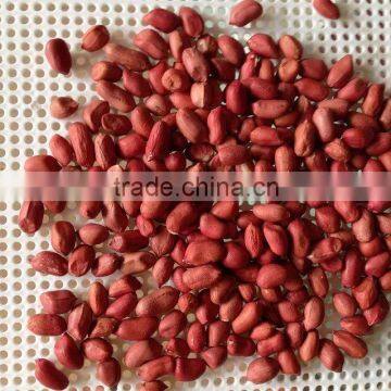 Red Skin Peanut Kernels With Good Quality for Sale photo-5