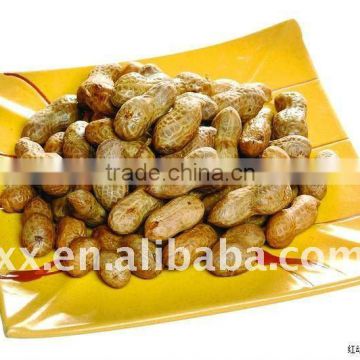 new crop farming product peanut with high quality