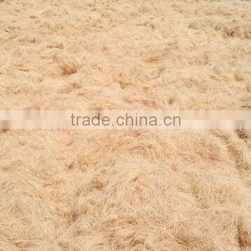 Coconut Fiber High quality_QQ: 2598494113