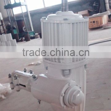 Cheap price 1KW permanent magnet generator