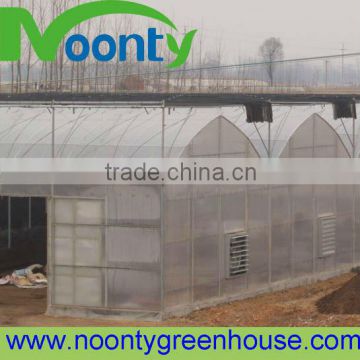 Poly film greenhouse