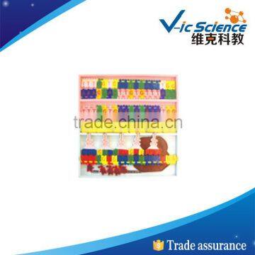 Best price good quality DNA PVC MODEL 100% factory