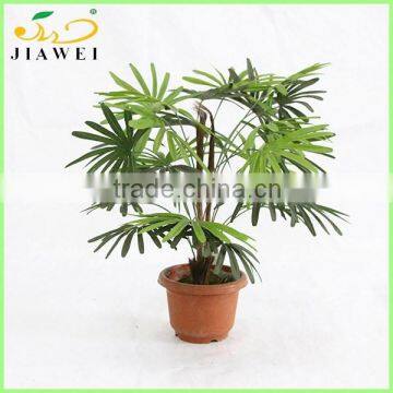 indoor table decorative artificial palm trees bonsai wholesale