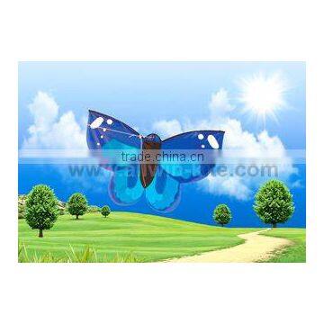 Butterfly Kites