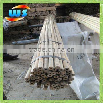 Natural bamboo cane for support plant 10' X22-24mm