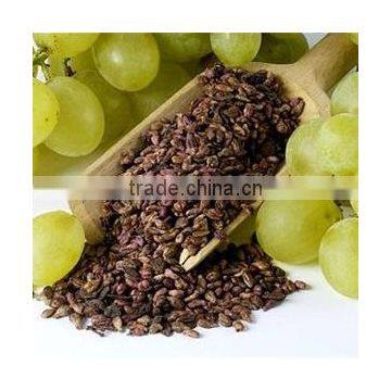 Talya Grape Seed Oil